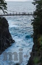 济南球童世界杯-济南球童世界杯，梦想与荣耀的舞台